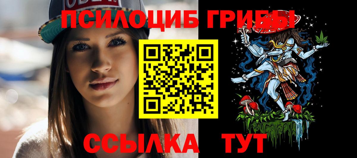 Псилоцибиновые грибы Cubensis  Вход с VPN  Узловая 